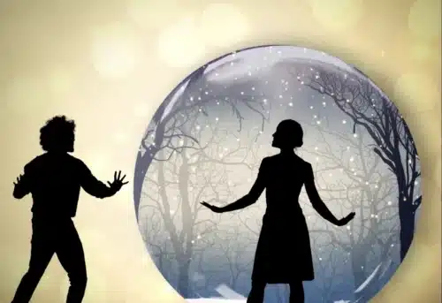 Winter Wonderland Shadow Show